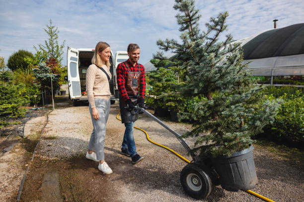 How Our Tree Care Process Works  in  Fulton, TX